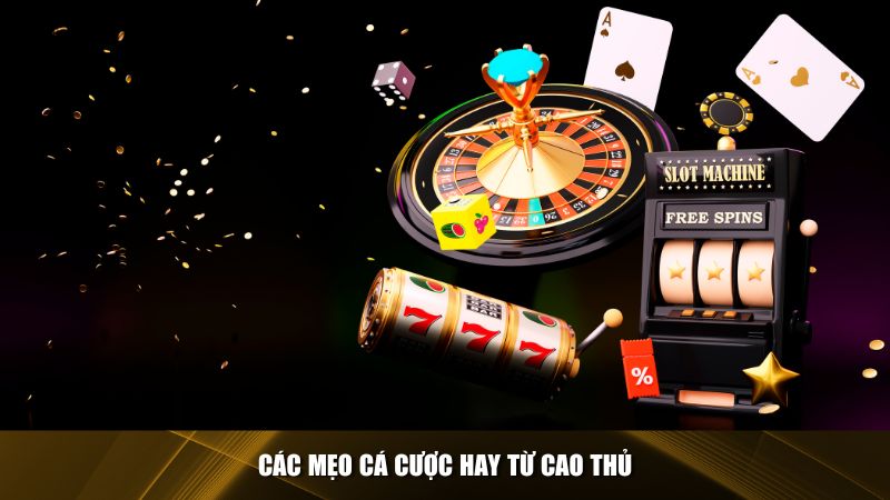 Bet169 – Giải Đáp Thắc Mắc Thường Gặp Về Cá Cược Trực Tuyến